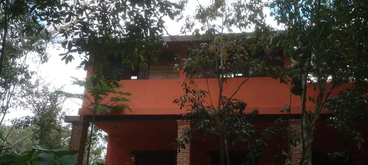 **  Casa Mango Bed & Breakfast Tulum Mexico