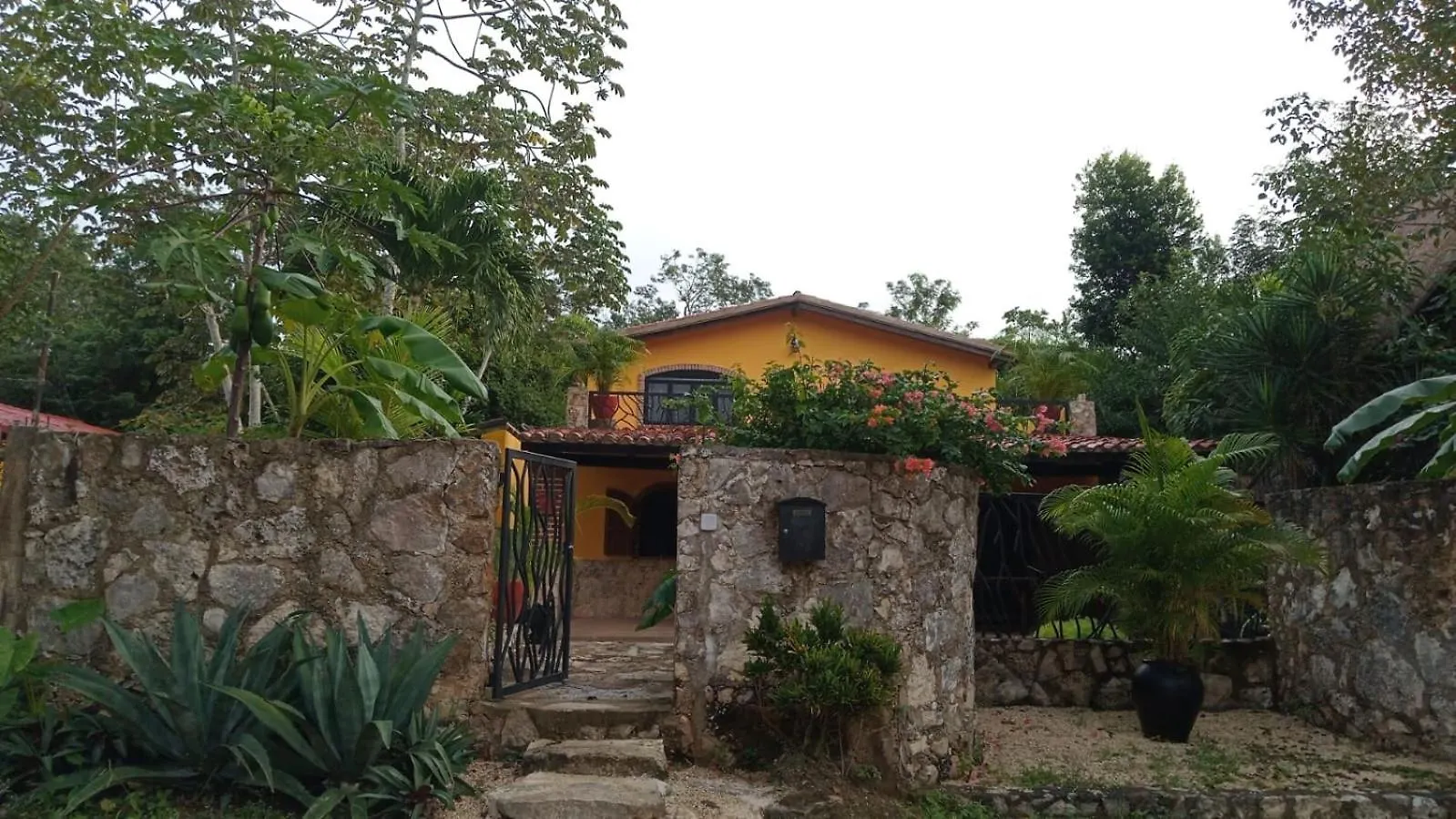 Casa Mango Bed & Breakfast Tulum Mexico
