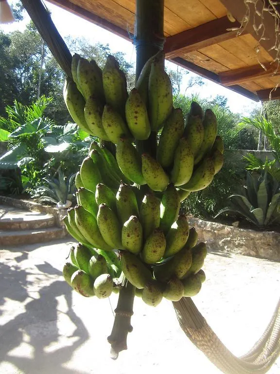 **  Casa Mango Bed & Breakfast Tulum Mexico