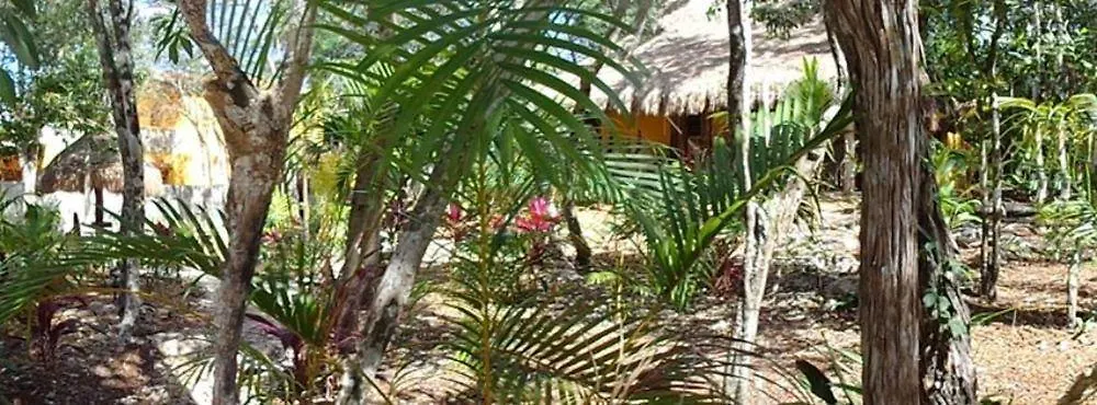Casa Mango Bed & Breakfast Tulum