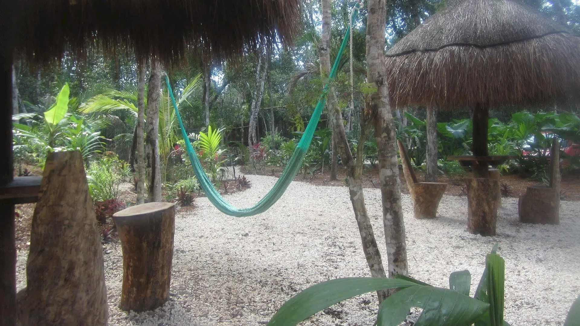 Casa Mango Bed & Breakfast Tulum