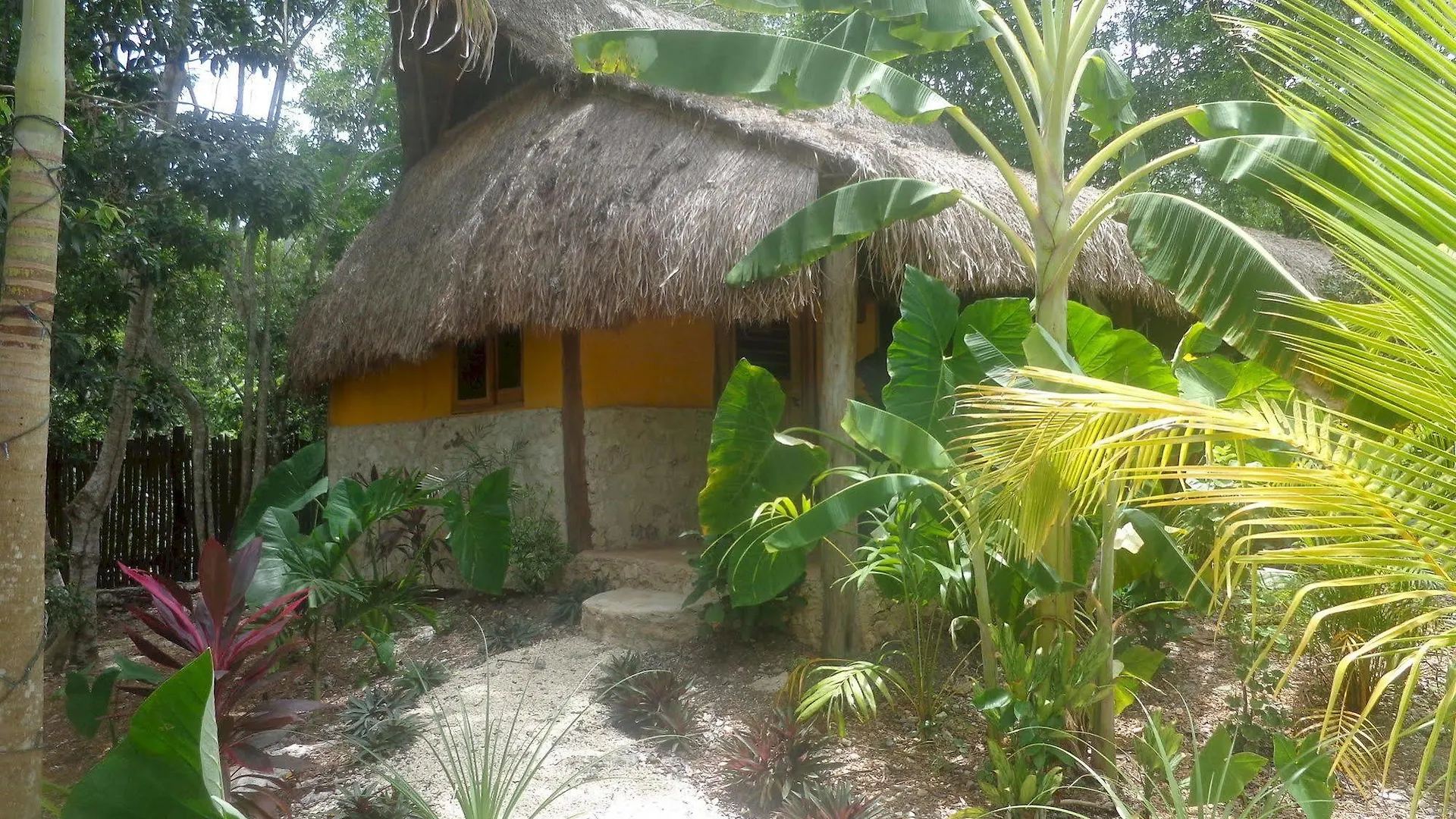 Casa Mango Bed & Breakfast Tulum