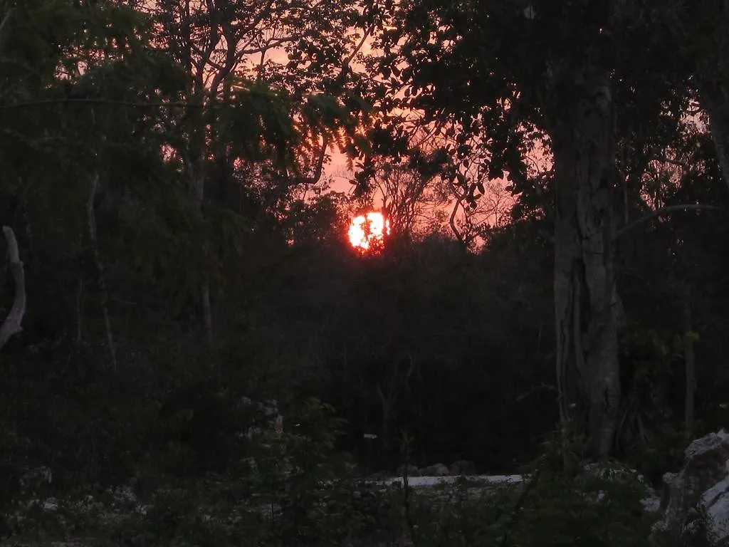 **  Casa Mango Bed & Breakfast Tulum Meksika